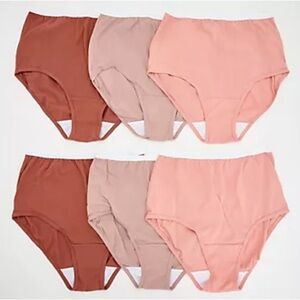 Breezies Original Cotton Brief Panties Set of 6